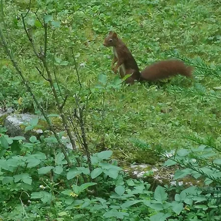 Serenite Séjour chez l'habitant *
